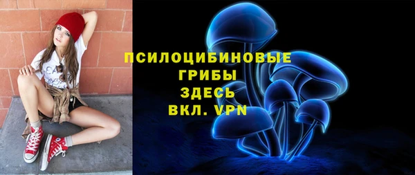 мяу мяу мука Алзамай